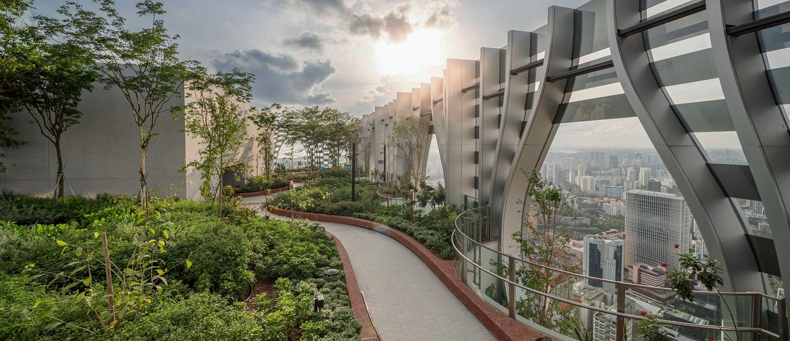 私たちの影響力